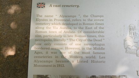al14.jpg