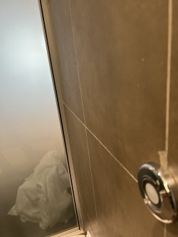 IMG_8462.jpeg