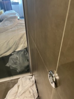 IMG_8460.jpeg