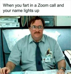 686e5ac315adb_remote-work-memes.jpg