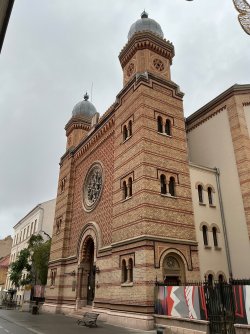 IMG_3286.jpeg
