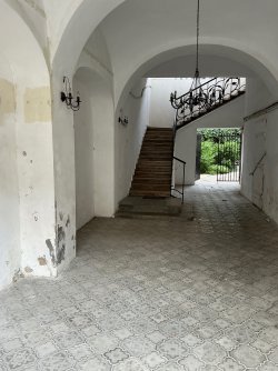 IMG_3579.jpeg