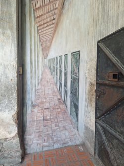 20250715_131400.jpg
