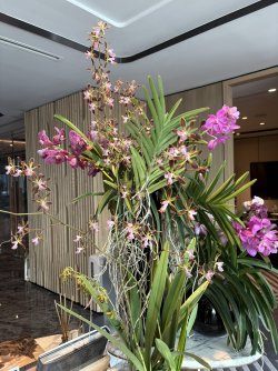 IMG_1271.jpg