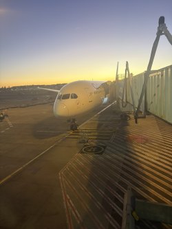 93F2447A-13F4-45B7-8D3E-628FE8436379_1_105_c.jpeg