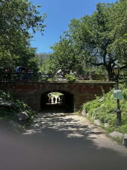 IMG_4182.jpeg