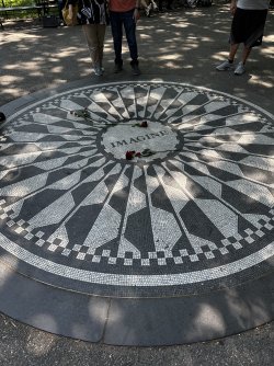 IMG_4194.jpeg