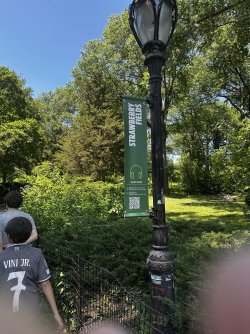 IMG_4193.jpeg