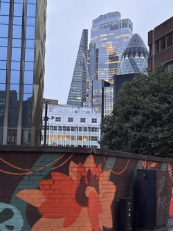 IMG_5883.jpeg