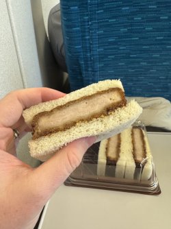 IMG_1730.jpeg