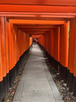 IMG_1757.jpeg
