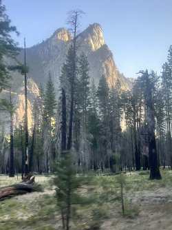 IMG_6748.jpeg