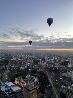 IMG_7447.jpeg