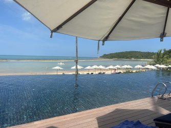 IMG_1884.JPEG
