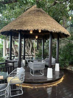 IMG_1898.JPEG