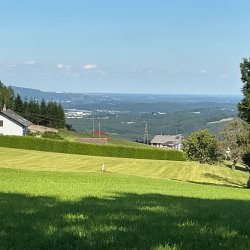 IMG_4497.jpeg