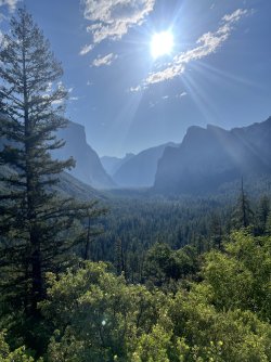 IMG_6804.jpeg