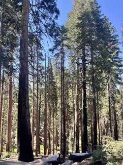 IMG_6808.jpeg