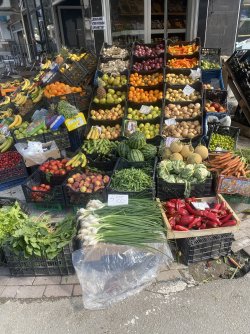 IMG_5005.jpeg
