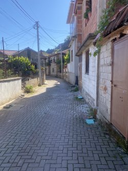 IMG_5017.jpeg