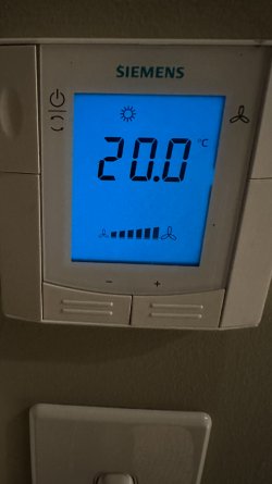 IMG_6147.JPEG