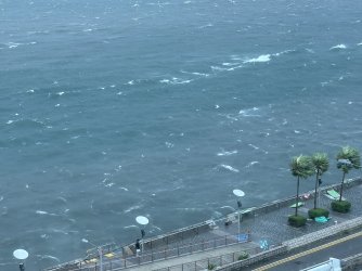 IMG_1474.jpeg