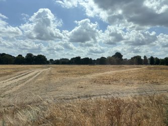 IMG_5640.jpeg