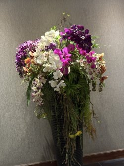 IMG_1388.jpg