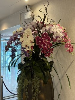 IMG_1392.jpg