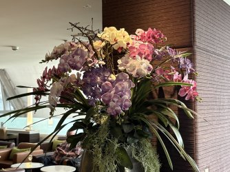 IMG_1397.jpg