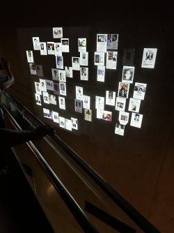 IMG_4284.jpeg