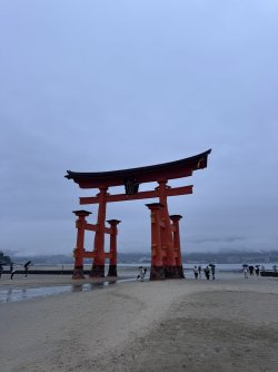 IMG_9136.JPEG