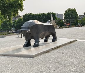 n4.jpg