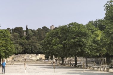 n91.jpg