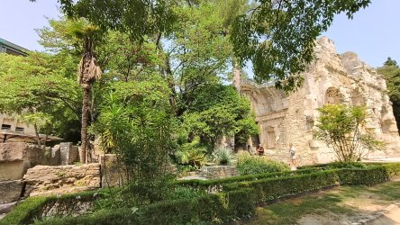n92.jpg