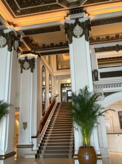 IMG_1503.jpeg