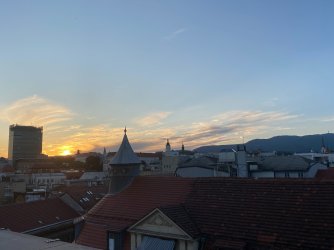 IMG_9129.JPEG
