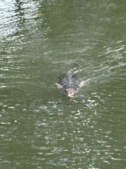 IMG_1607.jpg