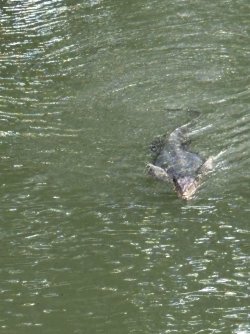 IMG_1608.jpg