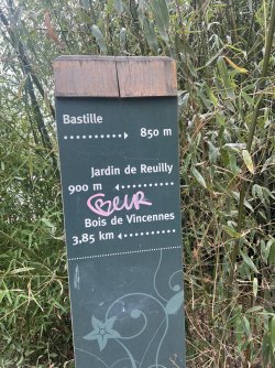 IMG_8417.jpeg