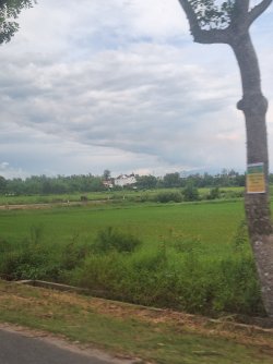 20250724_114704.jpg