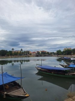 20250724_104602.jpg