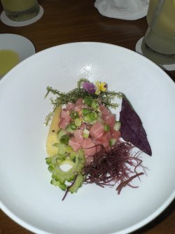 IMG_6025.JPEG