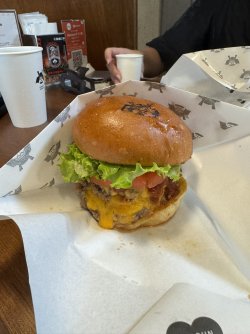 IMG_9446.JPEG IMG_9446.JPEG