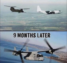 1753749305038.png