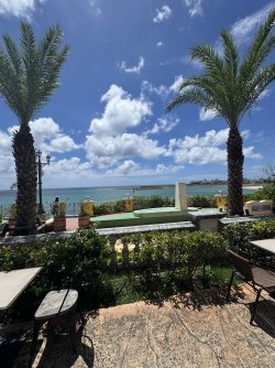 IMG_9551.JPEG
