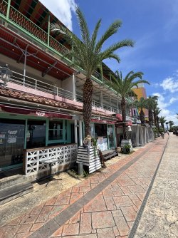 IMG_9550.JPEG