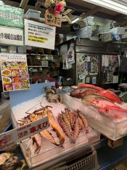 IMG_6279.JPEG