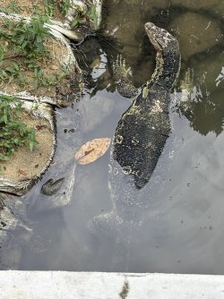 IMG_1713.jpg