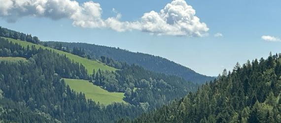 Screenshot 2025-07-30 120210.png